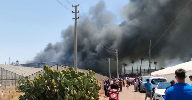Antalya’da çiçek işleme tesisinde yangın