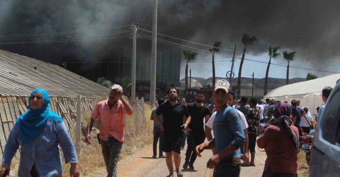 Antalya’da kesme çiçek işleme tesisi alev alev yandı