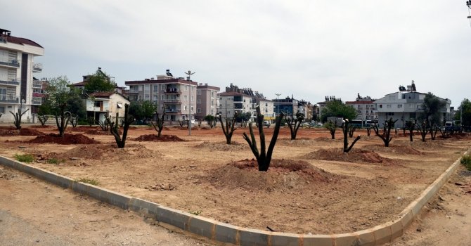 Bir portakal bahçesi de Mehmet Akif Ersoy Mahallesi’ne