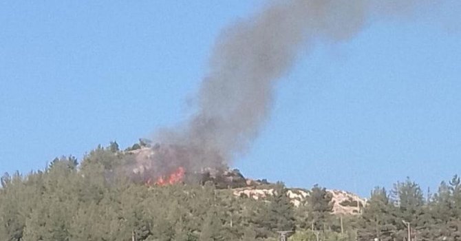Osmaniye’de çıkan orman yangını kısa sürede söndürüldü