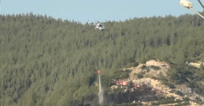 Osmaniye’deki orman yangını 4 dakikalık müdahaleyle söndürüldü