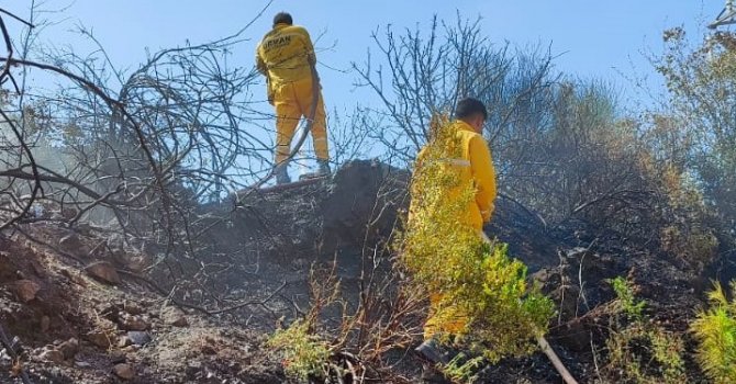 Osmaniye’de orman yangını, büyümeden söndürüldü