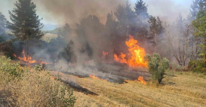 Burdur’da çıkan orman yangınında 3 dekarlık alan yandı