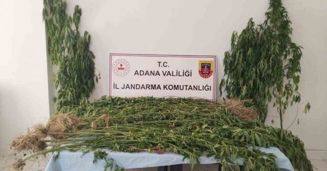 Adana’da uyuşturucu ile mücadele 14 şahıs yakalandı