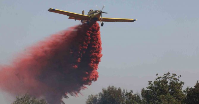 Orman yangınına hızlı müdahale vatandaşları memnun etti: “Allah devletimizden razı olsun”
