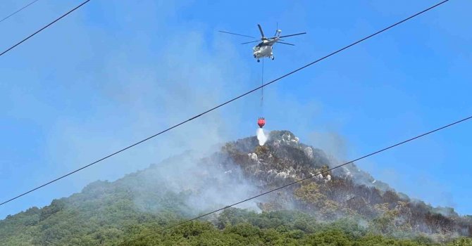 Demre’deki orman yangını kontrol altına alındı