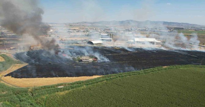 Kahramanmaraş’ta anız yangını korkuttu