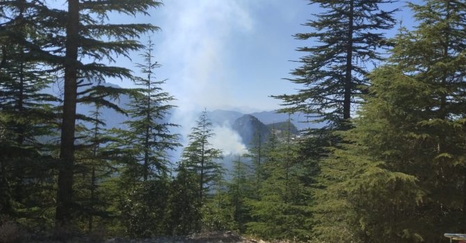 Adana Feke’deki orman yangını kontrol altına alındı