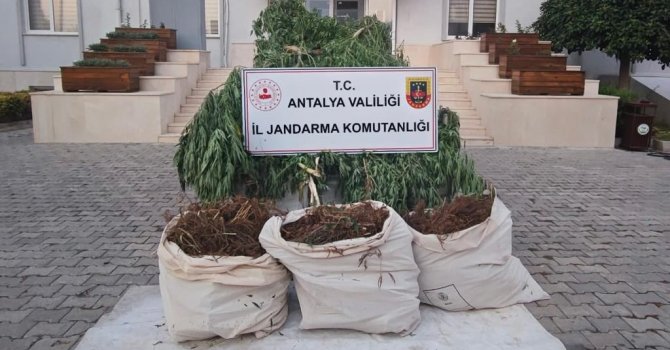 Serik’te jandarmadan uyuşturucu operasyonu: 3 gözaltı