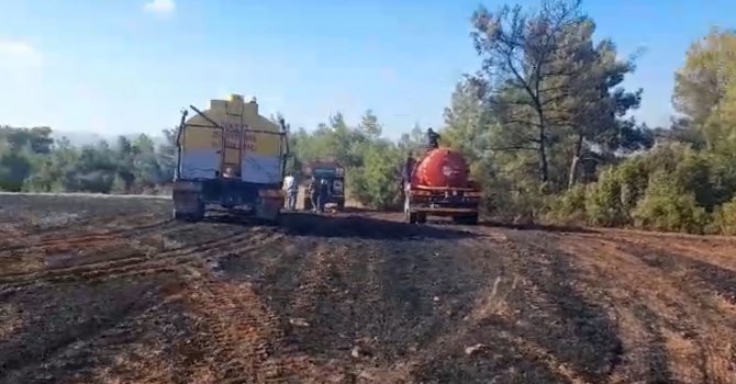 Ormanlık alanda başlayan yangın tarım arazisine sıçradı