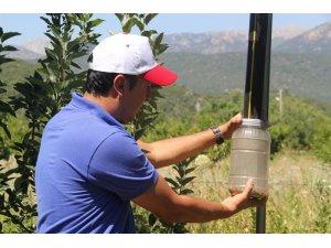 Işıklı tuzaklarla 893 adet haziran böceği ergini yakalandı