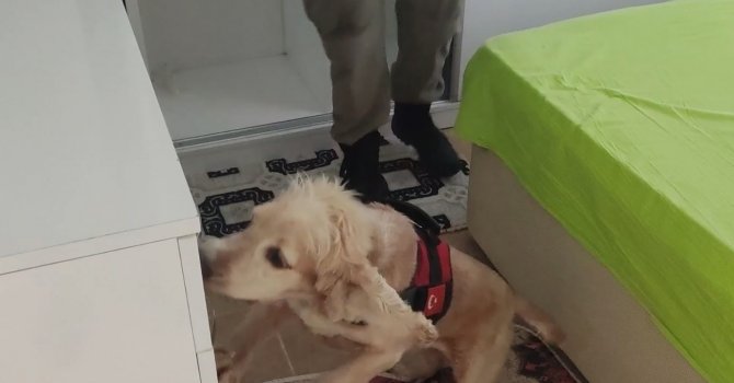 9 kilogram kokain Çaki’ye takıldı