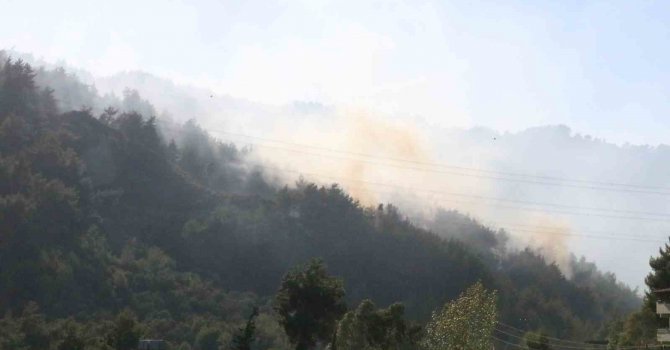 Yangına havadan ve karadan müdahale devam ediyor