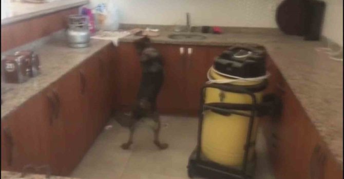 Kargo kutularından uyuşturucu çıktı