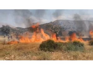 8 dönüm buğdayı hasat edemeden yandı