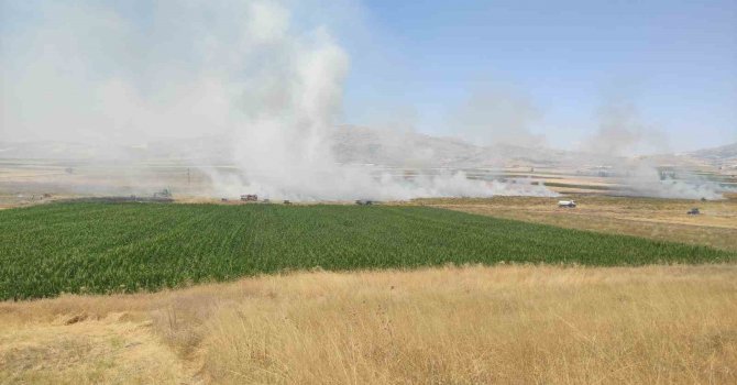 Burdur’da çıkan yangında 100 dönümlük tarım arazisi kül oldu