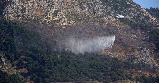 Hatay’da evlere yakın noktadaki orman yangını kısa sürede kontrol altına alındı