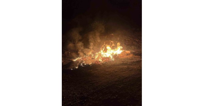 Gazipaşa’da çay kenarına bırakılan atıklar alev aldı