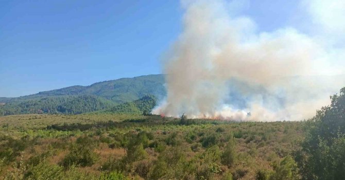 Burdur’da orman yangını havadan ve karadan müdahale ile kontrol altına alındı.