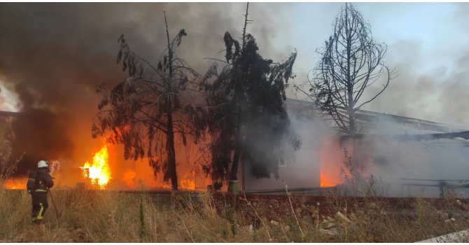 Mısır gevreği fabrikası yangında küle döndü