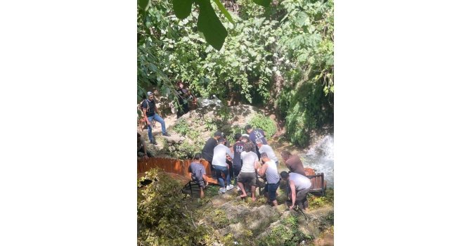 Üzerine dal düşen 3 kişi yaralandı