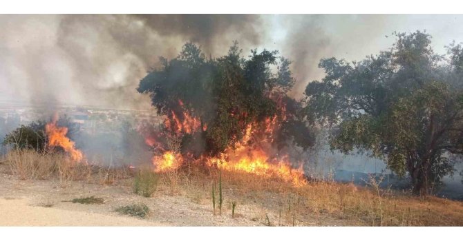 Hatay’da 2 farklı noktada meydana gelen yangın, ormanlık alana sıçramadan söndürüldü