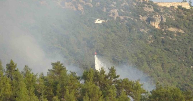 Mersin’de dünyaca ünlü vadide çıkan orman yangını söndürüldü