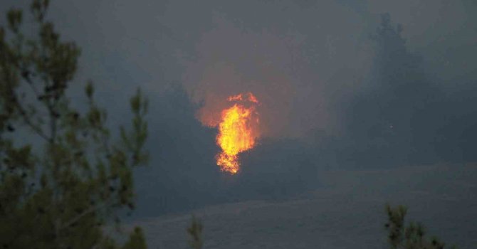 Adana’daki orman yangını devam ediyor