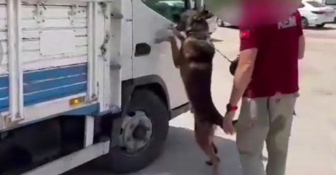 Kamyondan 6 kilo metamfetamin, 1 kilo kokain çıktı: 2 tutuklama