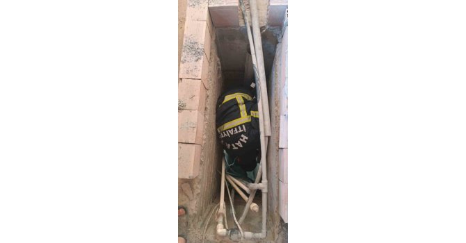 Havalandırma boşluğuna düşen yavru kedi kurtarıldı