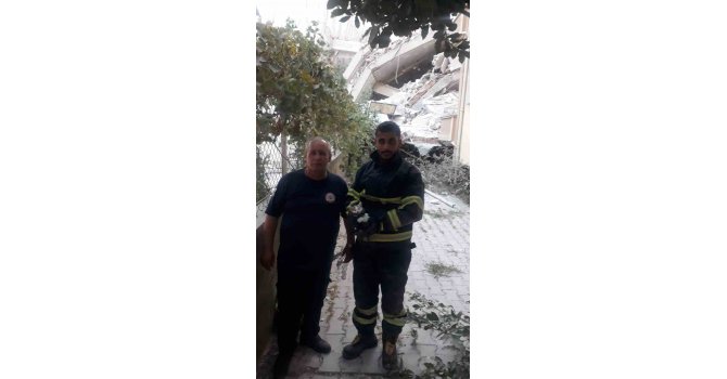 Enkazı kaldırılan binadan yavru kedi kurtarıldı