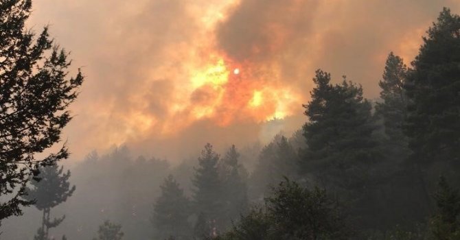 Bakan Yumaklı: "Akseki yangını kontrol altında"