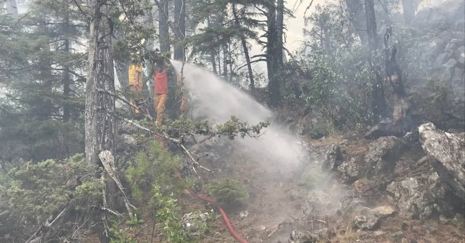 Akseki’deki orman yangınında 45 hektar alan zarar gördü