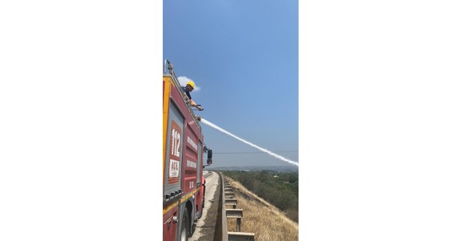 Otluk alanda çıkan yangın söndürüldü