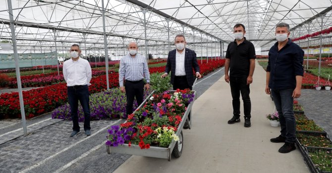 Başkan Böcek çiçek üreticisinin yanında