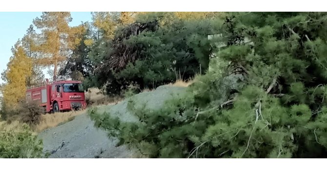 Hatay’da orman yangını büyümeden kontrol altına alındı