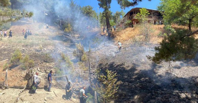 Adana’da orman yangını büyümeden söndürüldü