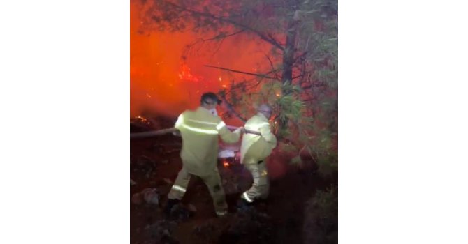 Kozan’da 5 ayrı noktada çıkan orman yangını kontrol altına alındı