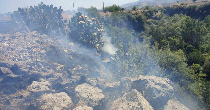 Osmaniye Düziçi’nde orman yangını