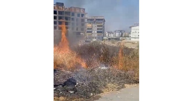Gazipaşa’da otluk yangını söndürüldü