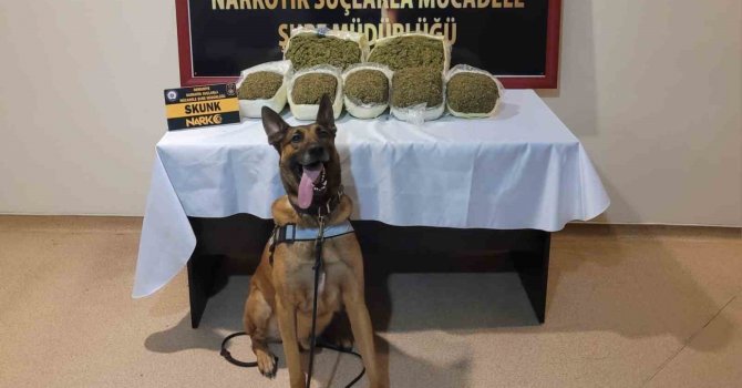 Osmaniye’de uyuşturucu ile mücadele: 47 gözaltı