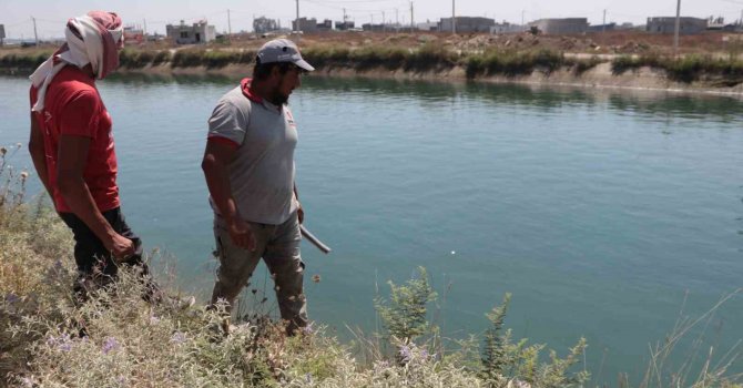 Sulama kanalına düşen 15 yaşındaki Yaprak kayboldu