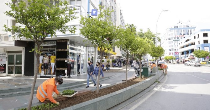 Büyükşehir Güllük Caddesi’ni 40 bin çiçekle süsleyecek