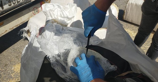 Samanların içine saklanmış 172 kilo 200 gram skunk ele geçirildi