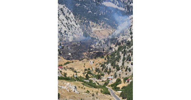 Kırsal alan yangınında 1 hektar zarar gördü