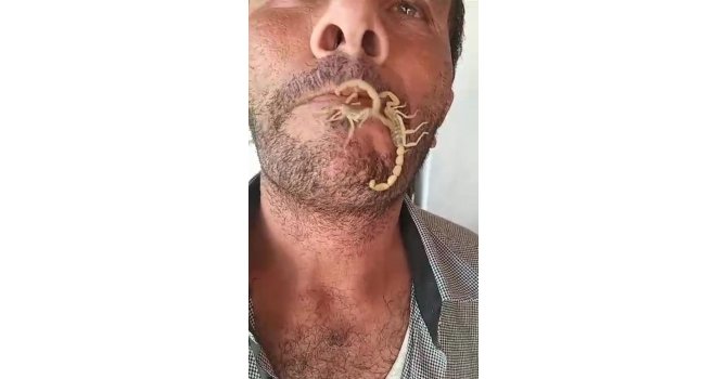 Akreplere kendini sokturdu, ‘Hayvan sevgisi’ dedi