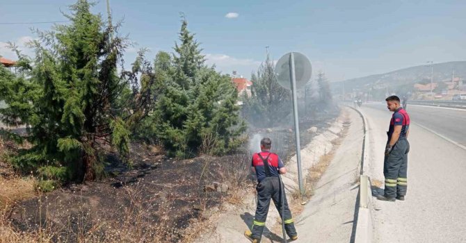 Araçtan atılan sigara izmariti yangına sebep oldu