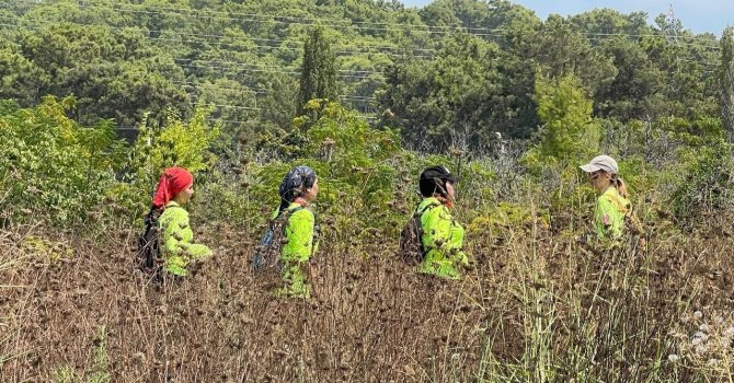 Alanya’da kayıp Alman uyruklu kadın turist havadan karadan aranıyor