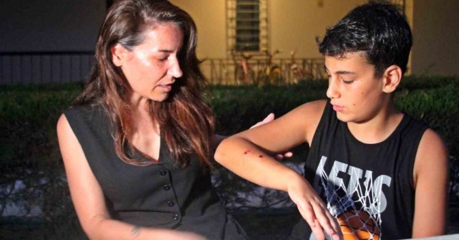 Dershaneye giderken köpeklerin saldırdığı 12 yaşındaki çocuğu esnaflar kurtardı