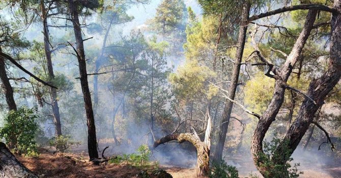 Feke’deki orman yangını kontrol altına alındı